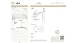 GIA Certificated Natural Fancy Light Yellow Diamond Oval Brilliant, 0.61cts, Si1 11 GIA Certificated Natural Fancy Light Yellow Diamond Oval Brilliant, 0.61cts, Si1 -Mode Bijouterie Magasin 0 61ct Oval FLY Si1 master