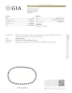 Unknown GIA 80.65 Carat Natural No Heat Blue Green Sapphire 14k White Gold Necklace -Mode Bijouterie Magasin 12772 2 master