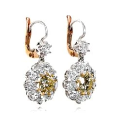 Unknown 2.70ct Old Euro-Cut Diamond Earrings, VS1 Clarity, Diamond Halo, 18k Yellow Gold 10 Unknown 2.70ct Old Euro-Cut Diamond Earrings, VS1 Clarity, Diamond Halo, 18k Yellow Gold -Mode Bijouterie Magasin 14207 TSV 1000PX 1 master