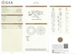 NEW Platinum 3.06ctw GIA Round Brilliant Diamond Martini 4 Prong Stud Earrings 12 NEW Platinum 3.06ctw GIA Round Brilliant Diamond Martini 4 Prong Stud Earrings -Mode Bijouterie Magasin 1 51ct I VVS1 Round Diamond GIA 1685739742164 master