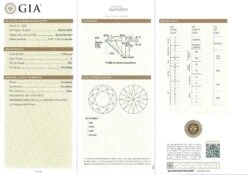 NEW Platinum 3.06ctw GIA Round Brilliant Diamond Martini 4 Prong Stud Earrings 13 NEW Platinum 3.06ctw GIA Round Brilliant Diamond Martini 4 Prong Stud Earrings -Mode Bijouterie Magasin 1 55ct H VS1 Diamond GIA 1685739750568 master