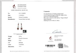 Eostre Unheated Burmese Pigeon Blood Ruby And Diamond Earring In 18K Gold 13 Eostre Unheated Burmese Pigeon Blood Ruby And Diamond Earring In 18K Gold -Mode Bijouterie Magasin 20170207011134 001 master