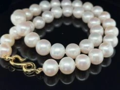 White Freshwater Pearl Necklace With Yellow Gold Clasp 13 White Freshwater Pearl Necklace With Yellow Gold Clasp -Mode Bijouterie Magasin 2023 04 18 11 59 25 1 master