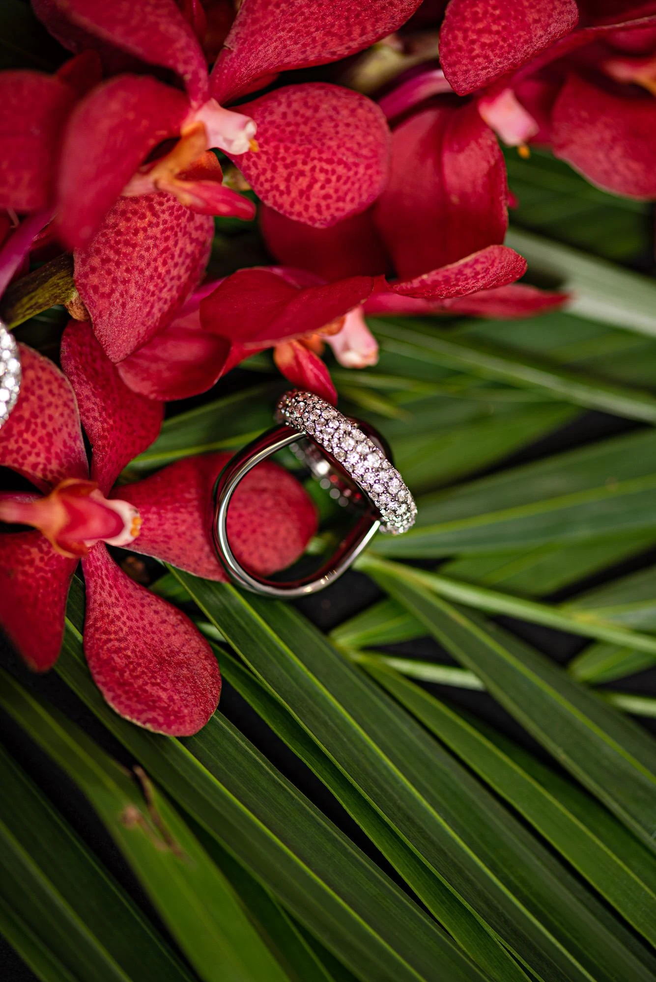 13 Carat Natural Tourmaline Rubellite Diamonds 18 Karat Black Gold Ring By D&A 5 13 Carat Natural Tourmaline Rubellite Diamonds 18 Karat Black Gold Ring By D&A – Image 3