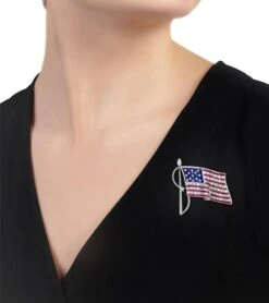 Oscar Heyman Ruby And Sapphire American Flag Brooch -Mode Bijouterie Magasin 31 7069 3 master