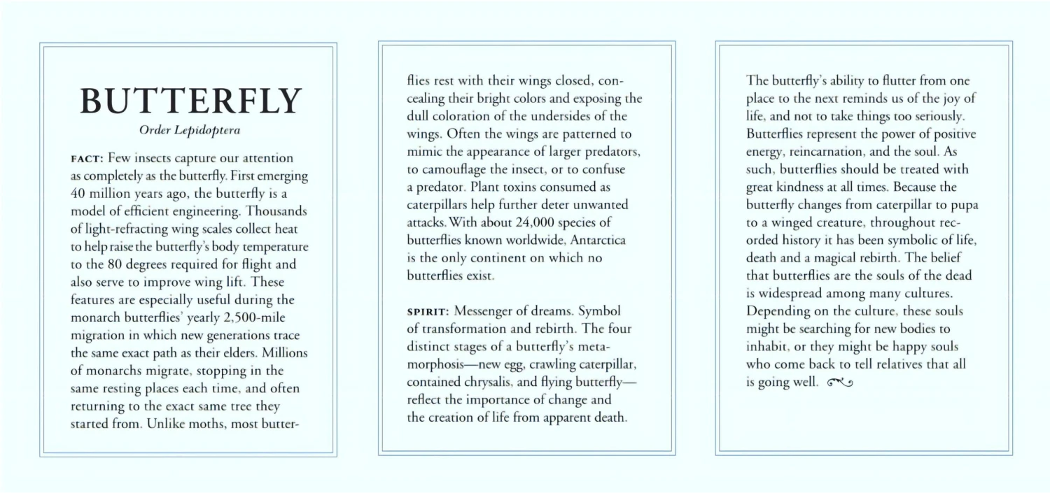 Small Butterfly Diamond Necklace Front View White Gold 4 Small Butterfly Diamond Necklace Front View White Gold – Image 2