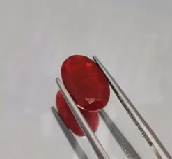 Unknown Orange Fire Opal 13 Unknown Orange Fire Opal -Mode Bijouterie Magasin 5242892a 97a7 4366 9192 29d16767a23c master