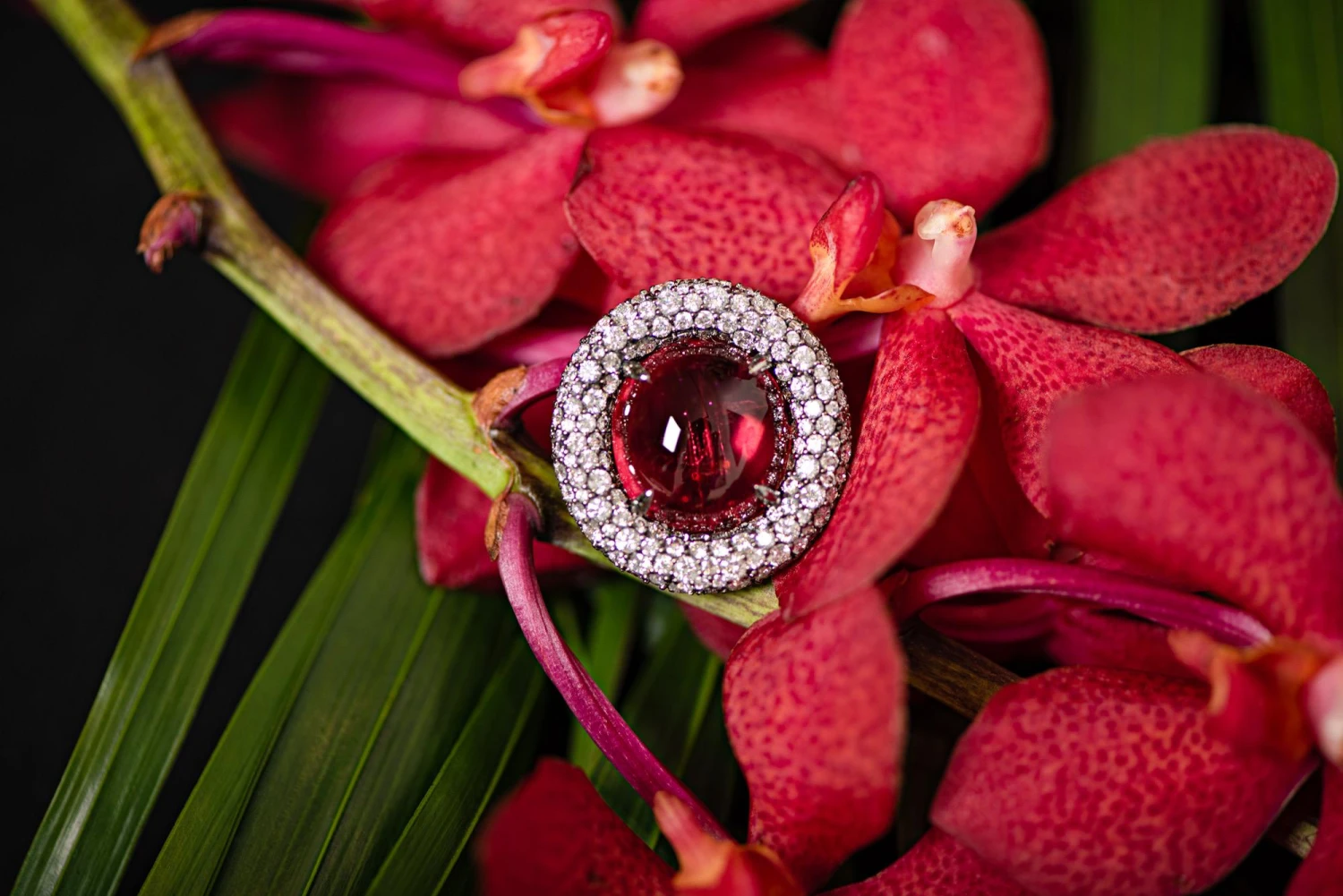 13 Carat Natural Tourmaline Rubellite Diamonds 18 Karat Black Gold Ring By D&A 4 13 Carat Natural Tourmaline Rubellite Diamonds 18 Karat Black Gold Ring By D&A – Image 2