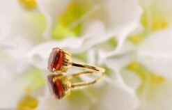 Unknown 18 Karat Gold Hessonite Diamond Ring 9 Unknown 18 Karat Gold Hessonite Diamond Ring -Mode Bijouterie Magasin B3656218 74DC 4F66 A4A4 F267E726046B 1 201 a master