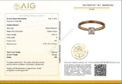 Dazzling 18k Rose Gold Solitaire Ring W/ 0.40ct Natural Diamonds AIG Certificate -Mode Bijouterie Magasin Capture master 1