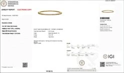 Marvelous 18k Yellow Gold Bangle W/ 3.2 Carat Natural Diamonds IGI Certificate 13 Marvelous 18k Yellow Gold Bangle W/ 3.2 Carat Natural Diamonds IGI Certificate -Mode Bijouterie Magasin Capture master 6