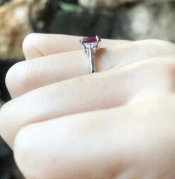 Unknown Ruby With Diamond Ring Set In 18 Karat White Gold Settings -Mode Bijouterie Magasin DBE24A1C 4066 4D74 957B 733417F6D816 master