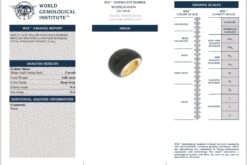 Vhernier Pirouette 18Karat Gold Ring -Mode Bijouterie Magasin IMG 0658 master