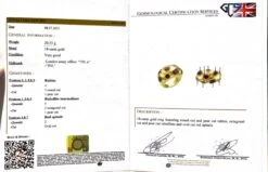 Unknown 18k Gold Ring With Rubies, Rubellite Tourmalines And Red Spinels -Mode Bijouterie Magasin IMG 1305 master