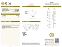 Alexander GIA Certified 4.02 Carat E VS2 Heart Cut Diamond 7 Alexander GIA Certified 4.02 Carat E VS2 Heart Cut Diamond -Mode Bijouterie Magasin IMG 1DE380E6A3F3 1 master