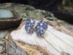 Unknown Blue Star Sapphire With Blue Sapphire And Diamond Earrings 18 Karat White Gold -Mode Bijouterie Magasin IMG 20210529 103959 master