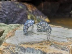 Unknown Blue Star Sapphire With Blue Sapphire And Diamond Earrings 18 Karat White Gold -Mode Bijouterie Magasin IMG 20210529 104130 master