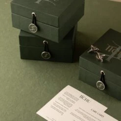 Tichu Cats Eye Falcon Face Cufflink In Sterling Silver -Mode Bijouterie Magasin IMG 8202 master