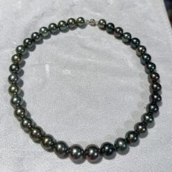 Eostre Black Tahitian Pearl Strand Necklace With 18K Clasp 15 Eostre Black Tahitian Pearl Strand Necklace With 18K Clasp -Mode Bijouterie Magasin IMG 8602 master