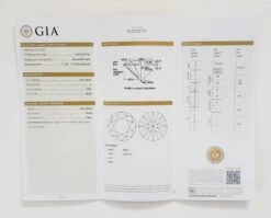 Unknown GIA White Diamond Round Halo Ring In Platinum -Mode Bijouterie Magasin PSX 20230525 095643 master