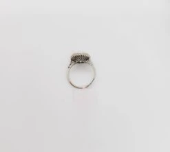 Unknown GIA White Diamond Round Halo Ring In Platinum -Mode Bijouterie Magasin PSX 20230525 100024 master