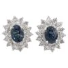 Unknown 14 Karat White Gold Natural Diamond & Blue Sapphire Halo Cluster Earrings 2 Unknown 14 Karat White Gold Natural Diamond & Blue Sapphire Halo Cluster Earrings -Mode Bijouterie Magasin j 19514692 1686330660009 bg processed