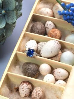 Unknown Sapphire Ring Diamond Wedding Band White Gold Blue Gemstone 38 Unknown Sapphire Ring Diamond Wedding Band White Gold Blue Gemstone -Mode Bijouterie Magasin sapphire diamond gold engagement ring 1018 1 master